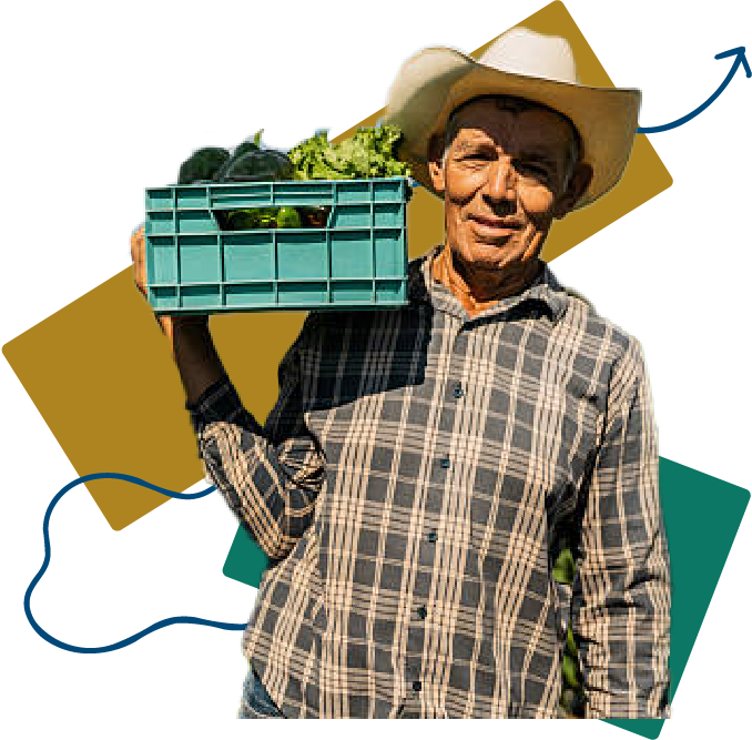 Campo productivo