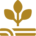 Menos